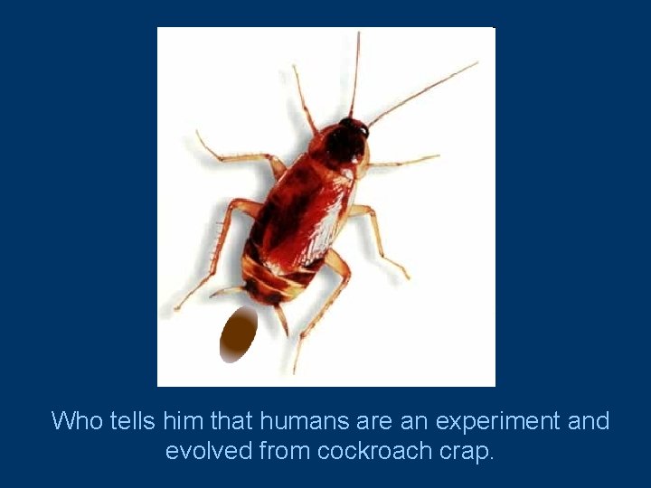Who tells him that humans are an experiment and evolved from cockroach crap. 
