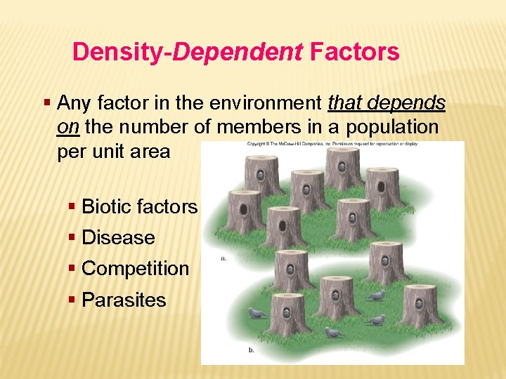 Density-Dependent Factors § Any factor in the environment that depends on the number of
