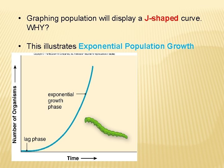  • Graphing population will display a J-shaped curve. WHY? • This illustrates Exponential