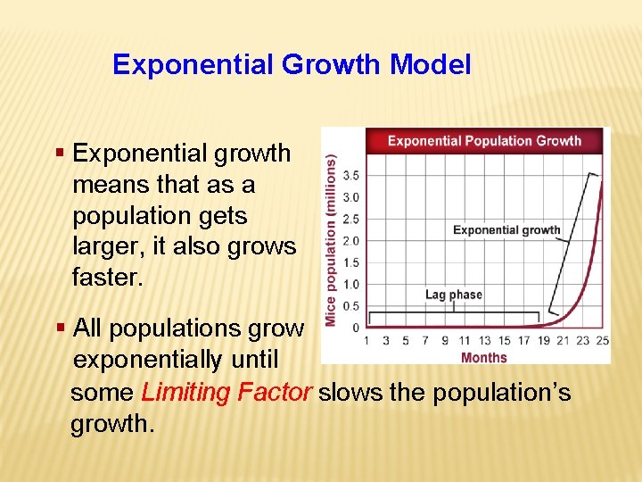 Exponential Growth Model § Exponential growth means that as a population gets larger, it