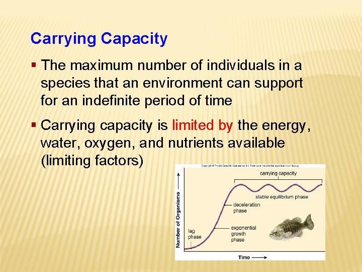 Carrying Capacity § The maximum number of individuals in a species that an environment