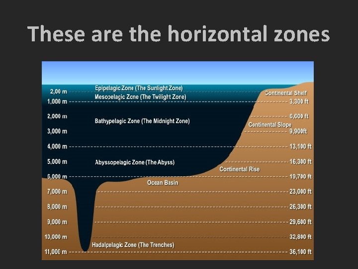 These are the horizontal zones 