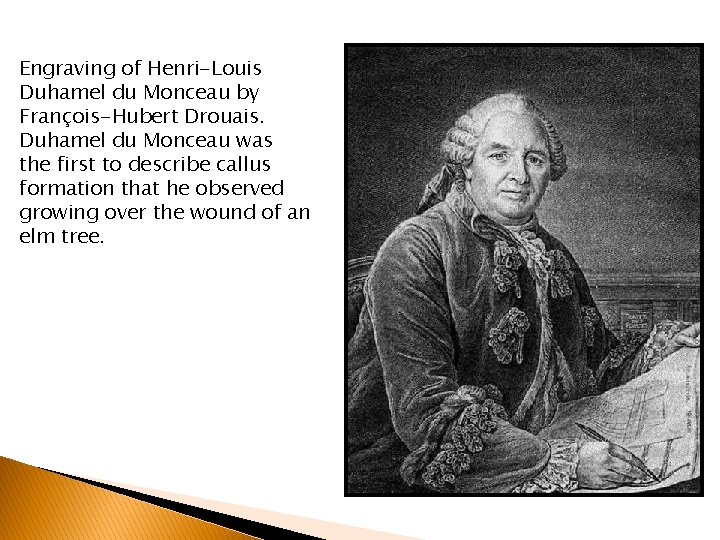 Engraving of Henri-Louis Duhamel du Monceau by François-Hubert Drouais. Duhamel du Monceau was the