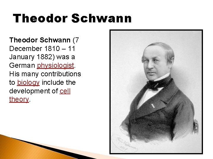 Theodor Schwann (7 December 1810 – 11 January 1882) was a German physiologist. His