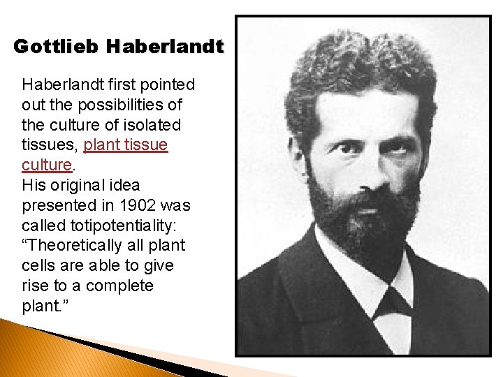 Gottlieb Haberlandt first pointed out the possibilities of the culture of isolated tissues, plant