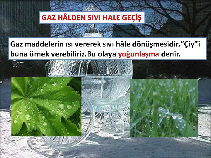 GAZ H LDEN SIVI HALE GEÇİŞ Gaz maddelerin ısı vererek sıvı hâle dönüşmesidir. “Çiy”i