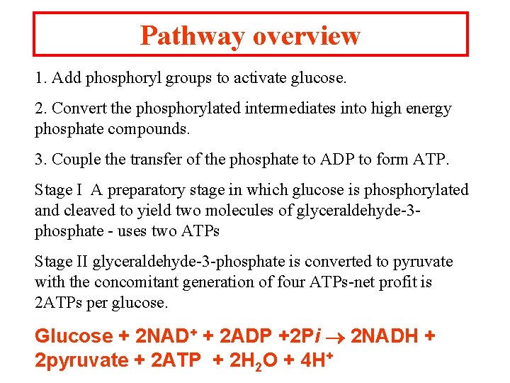 Pathway overview 1. Add phosphoryl groups to activate glucose. 2. Convert the phosphorylated intermediates