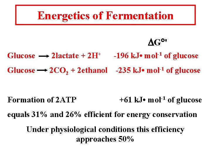 Energetics of Fermentation DG ' Glucose 2 lactate + 2 H+ -196 k. J