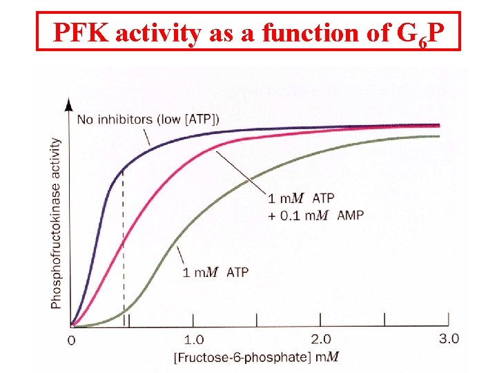 PFK activity as a function of G 6 P 