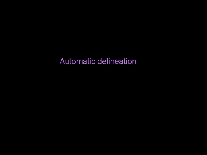 Automatic delineation 