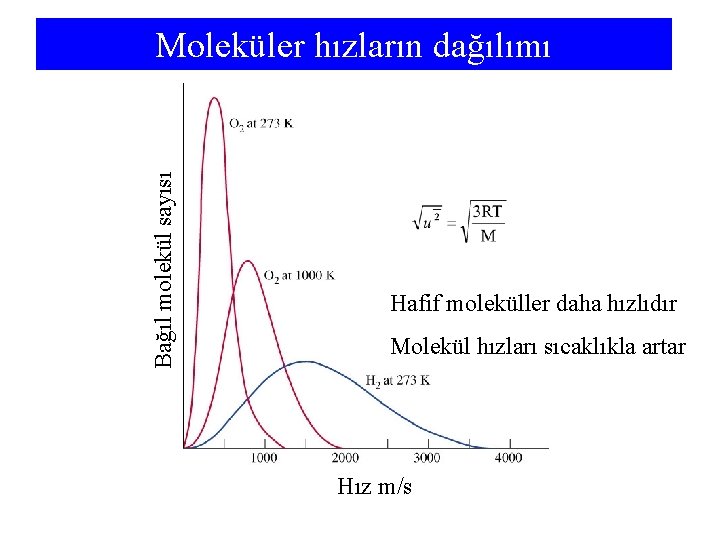 Bağıl molekül sayısı Moleküler hızların dağılımı Hafif moleküller daha hızlıdır Molekül hızları sıcaklıkla artar