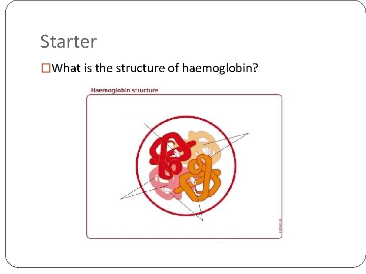 Starter �What is the structure of haemoglobin? Starter �What is the structure of haemoglobin?