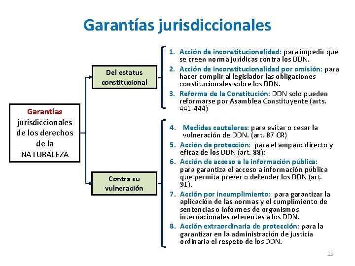 Garantías jurisdiccionales Del estatus constitucional Garantías jurisdiccionales de los derechos de la NATURALEZA Contra