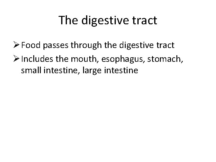 The digestive tract Ø Food passes through the digestive tract Ø Includes the mouth,