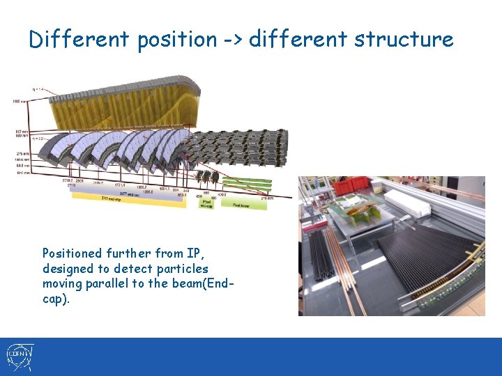 Different position -> different structure Positioned further from IP, designed to detect particles moving Different position -> different structure Positioned further from IP, designed to detect particles moving