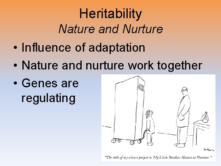 Heritability Nature and Nurture • Influence of adaptation • Nature and nurture work together