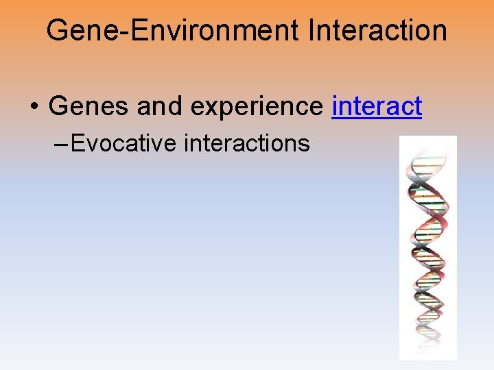 Gene-Environment Interaction • Genes and experience interact – Evocative interactions 