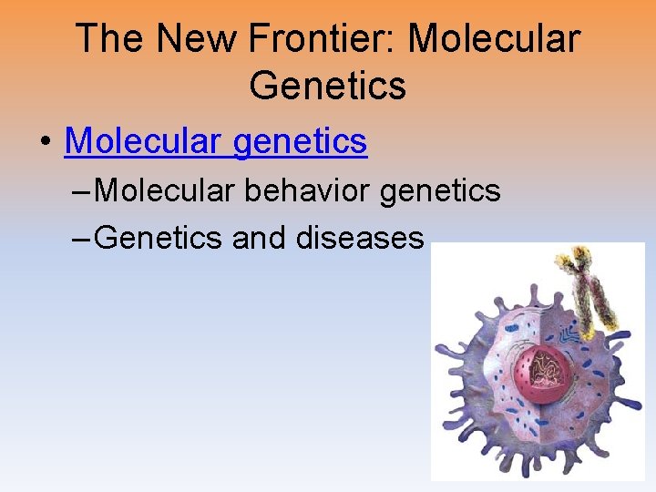 The New Frontier: Molecular Genetics • Molecular genetics – Molecular behavior genetics – Genetics