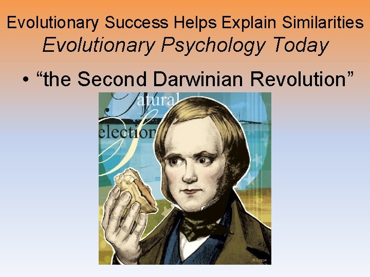 Evolutionary Success Helps Explain Similarities Evolutionary Psychology Today • “the Second Darwinian Revolution” 