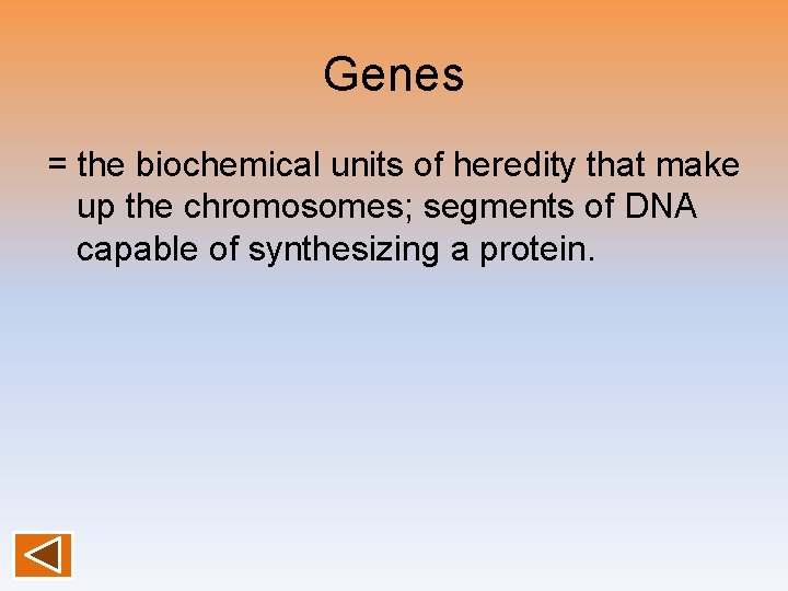 Genes = the biochemical units of heredity that make up the chromosomes; segments of