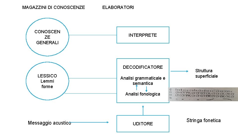 MAGAZZINI DI CONOSCENZE CONOSCEN ZE GENERALI ELABORATORI INTERPRETE DECODIFICATORE LESSICO Lemmi forme Analisi grammaticale