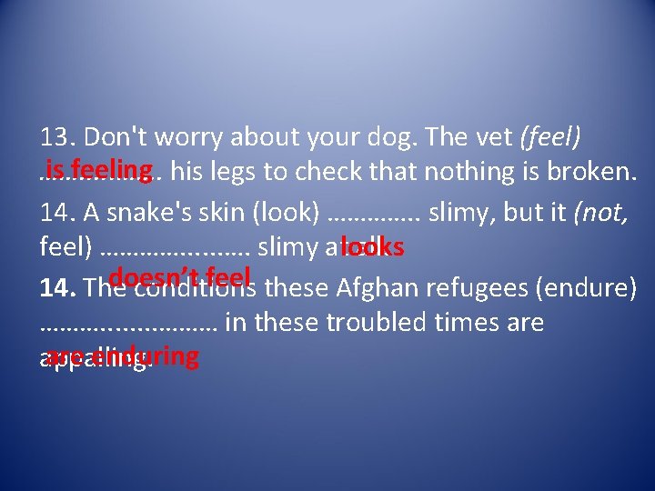 13. Don't worry about your dog. The vet (feel) is feeling his legs to