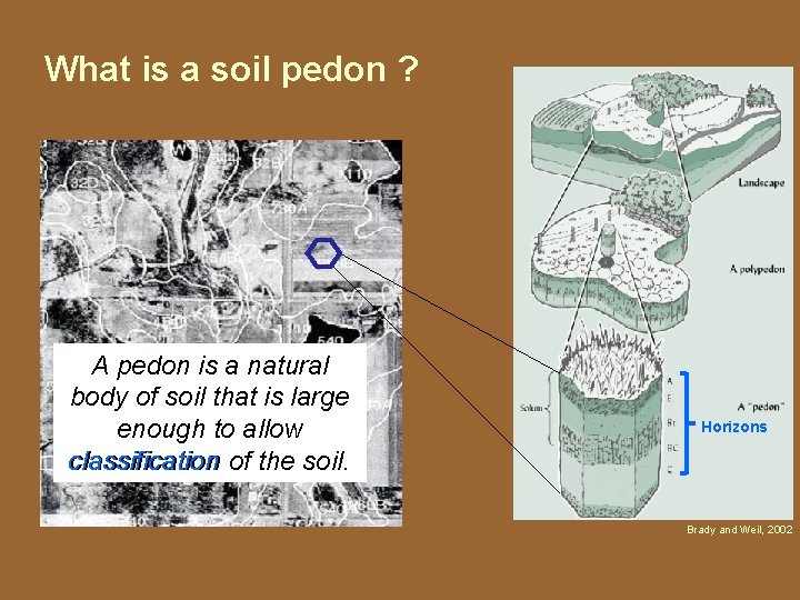 What is a soil pedon ? A pedon is a natural body of soil