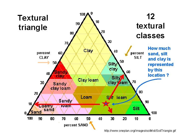 Textural triangle 12 textural classes How much sand, silt and clay is represented by