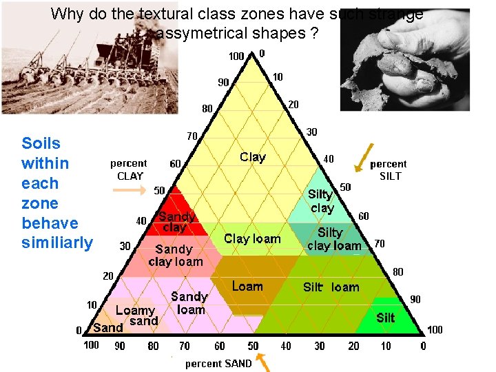 Why do the textural class zones have such strange assymetrical shapes ? Soils within
