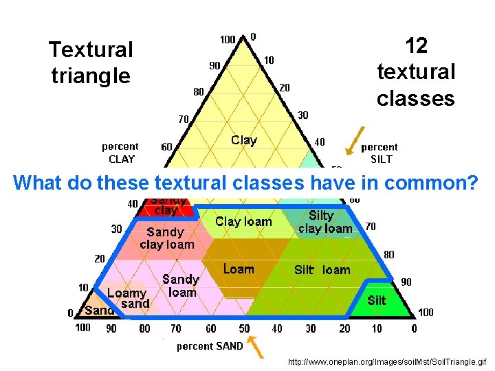 Textural triangle 12 textural classes What do these textural classes have in common? http: