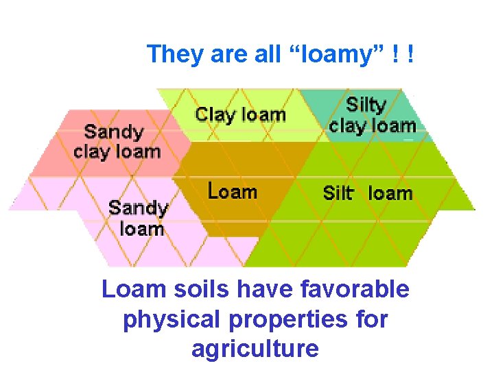 They are all “loamy” ! ! Loam soils have favorable physical properties for agriculture