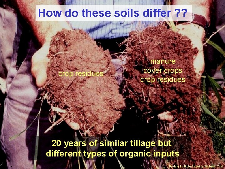 How do these soils differ ? ? crop residues manure cover crops crop residues