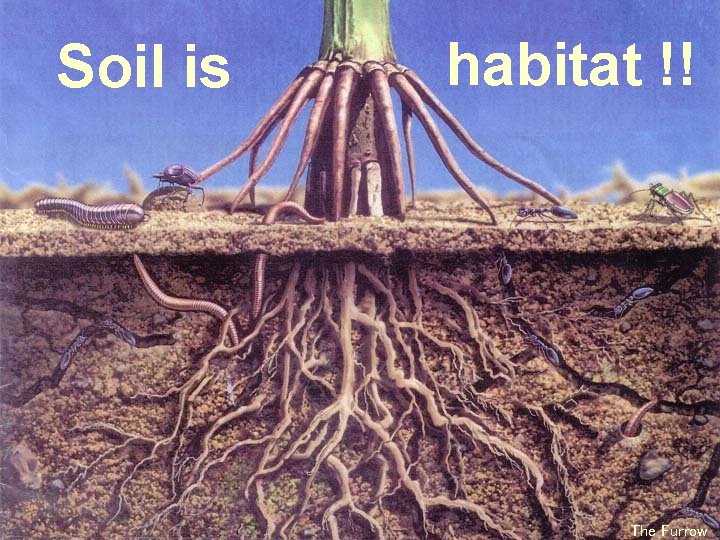 Soil is habitat !! The Furrow 