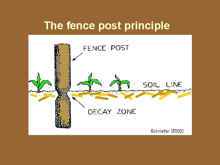 The fence post principle Schriefer (2000) 