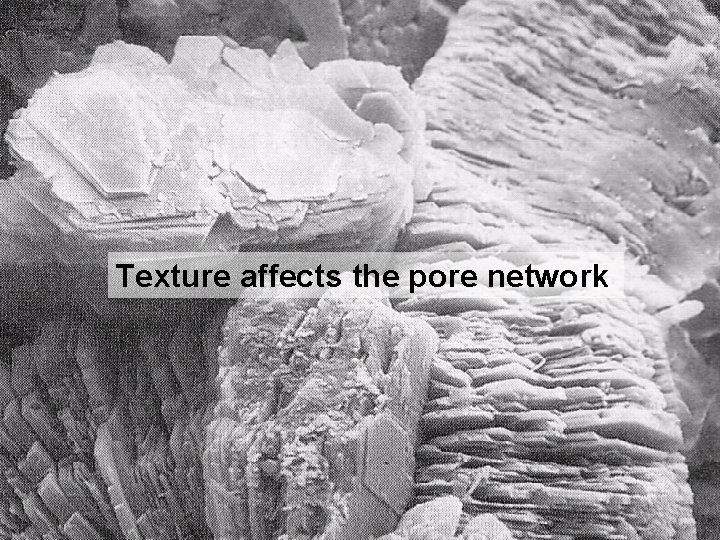 Texture affects the pore network 