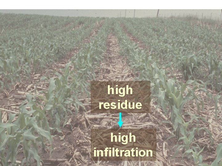 high residue high infiltration 