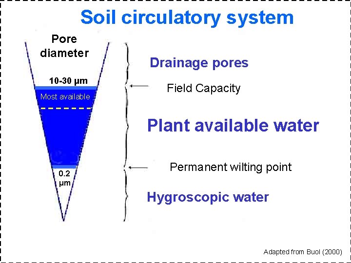 Soil circulatory system Pore diameter 10 -30 μm Most available Drainage pores Field Capacity