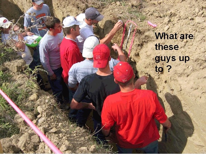 What are these guys up to ? 