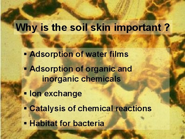 Why is the soil skin important ? § Adsorption of water films § Adsorption