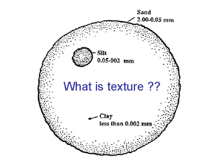 What is texture ? ? 