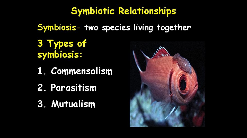 Symbiotic Relationships Symbiosis- two species living together 3 Types of symbiosis: 1. Commensalism 2.