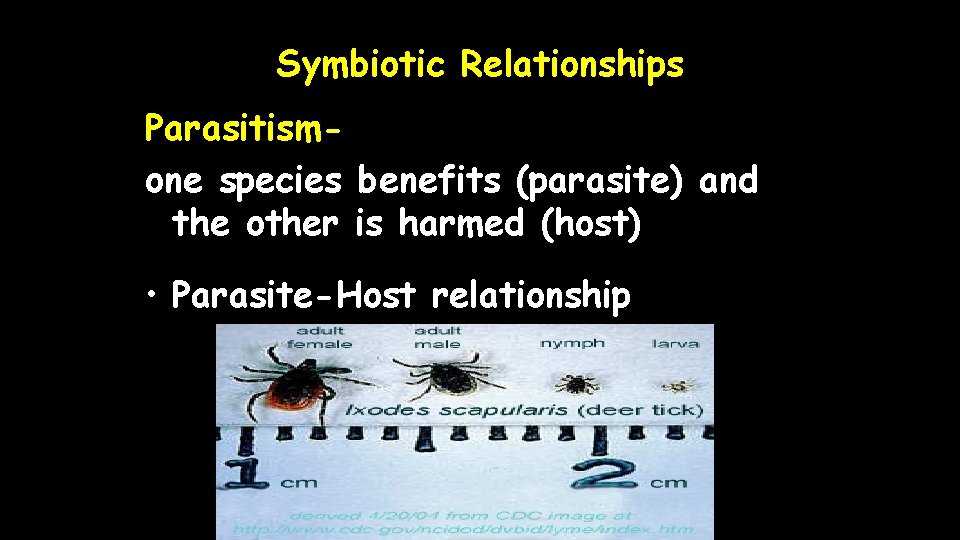 Symbiotic Relationships Parasitismone species benefits (parasite) and the other is harmed (host) • Parasite-Host