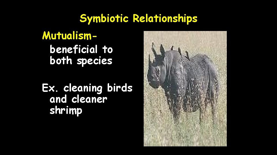 Symbiotic Relationships Mutualismbeneficial to both species Ex. cleaning birds and cleaner shrimp 