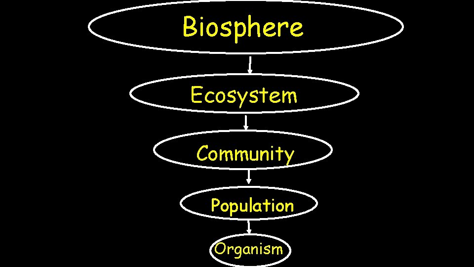 Biosphere Ecosystem Community Population Organism 