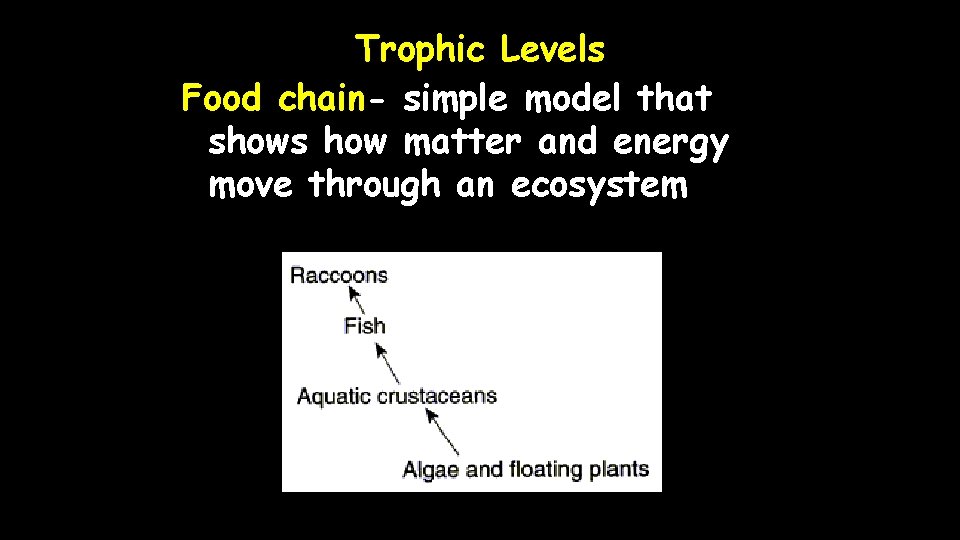 Trophic Levels Food chain- simple model that shows how matter and energy move through