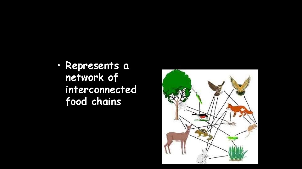  • Represents a network of interconnected food chains 