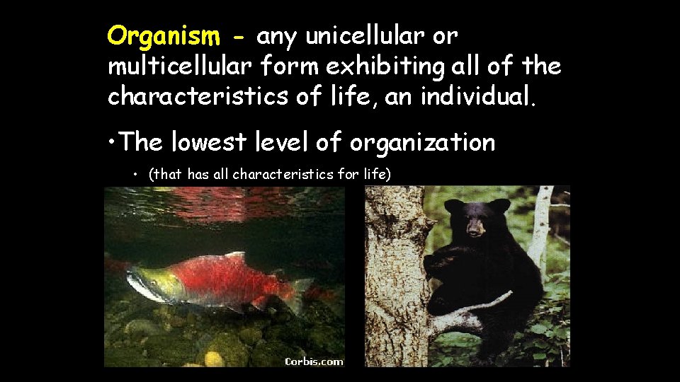 Organism - any unicellular or multicellular form exhibiting all of the characteristics of life,