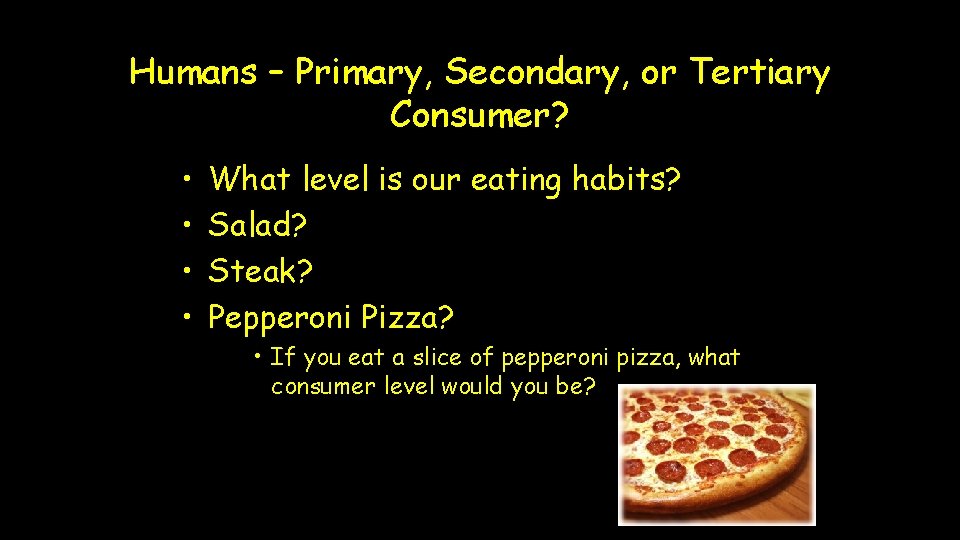 Humans – Primary, Secondary, or Tertiary Consumer? • • What level is our eating