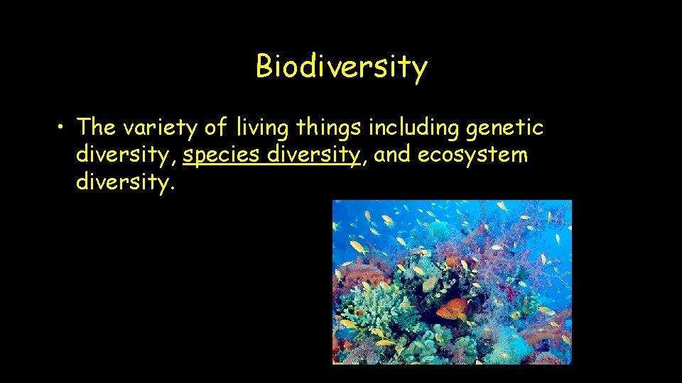 Biodiversity • The variety of living things including genetic diversity, species diversity, and ecosystem