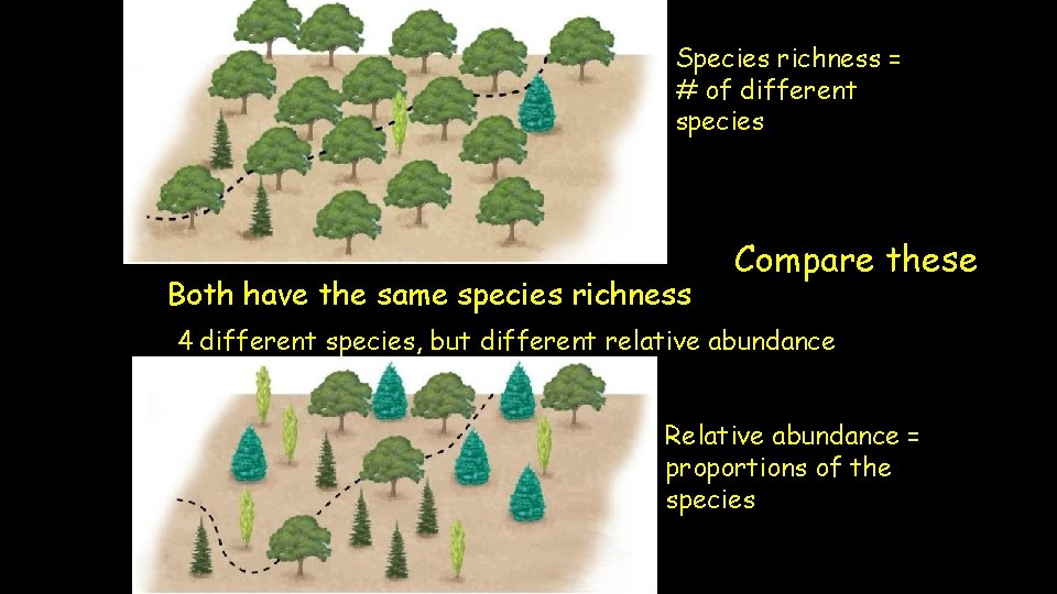 Species richness = # of different species Both have the same species richness Compare